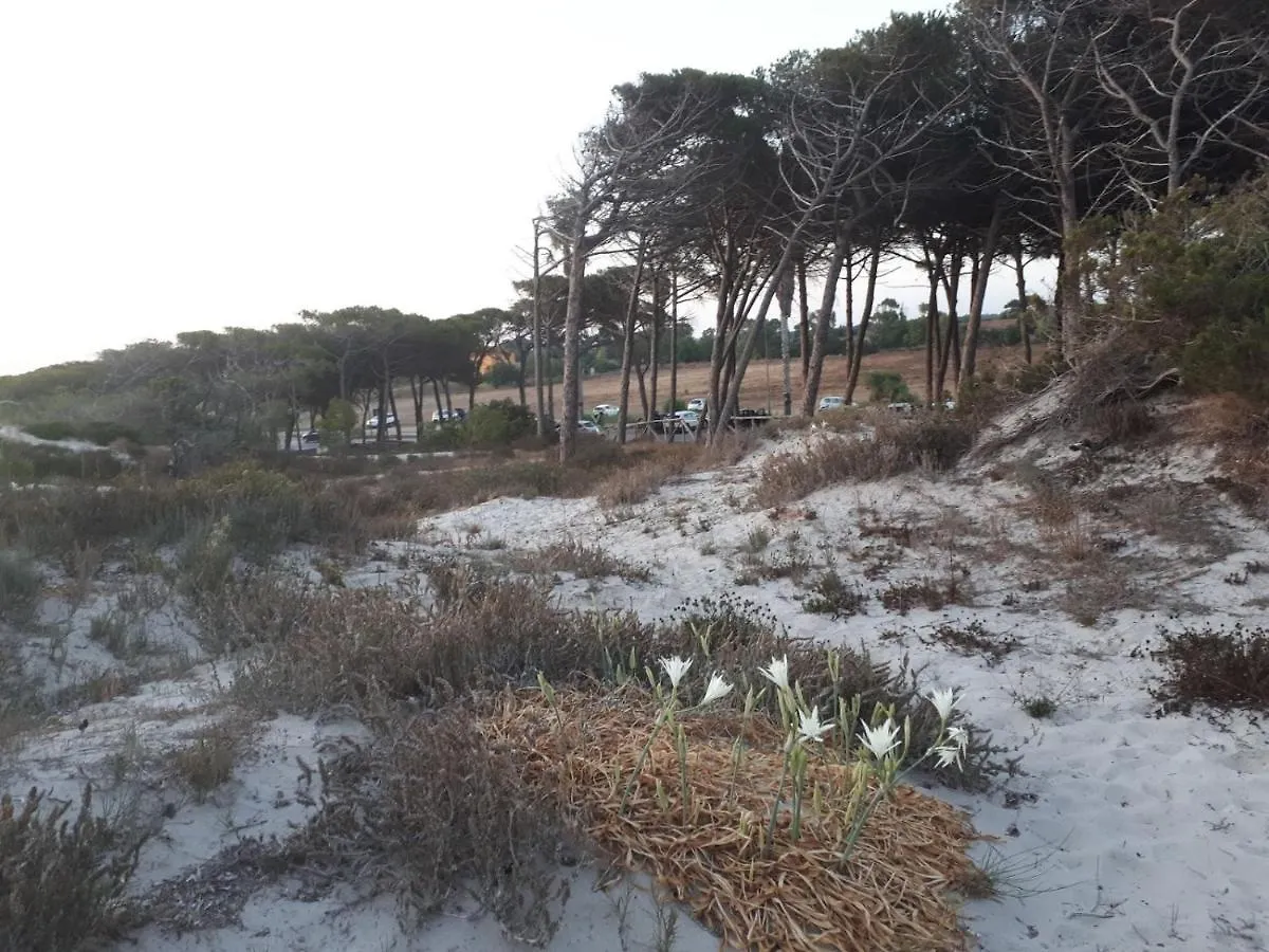 Aura Apartment Alghero Italy
